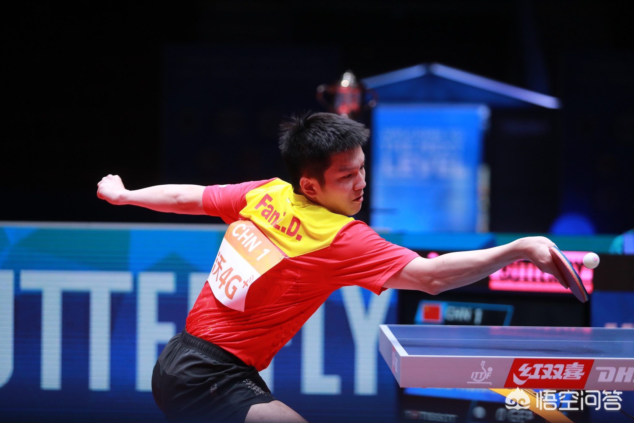 我们不仅是 我们不仅是