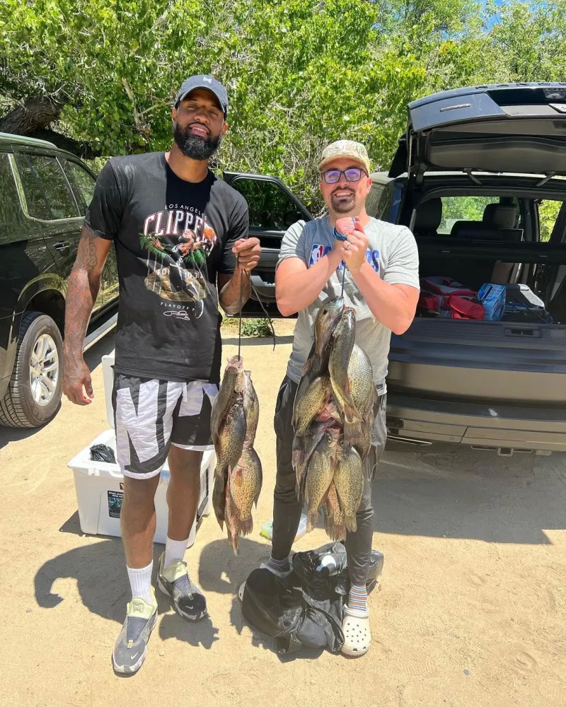 会将这种 会将这种