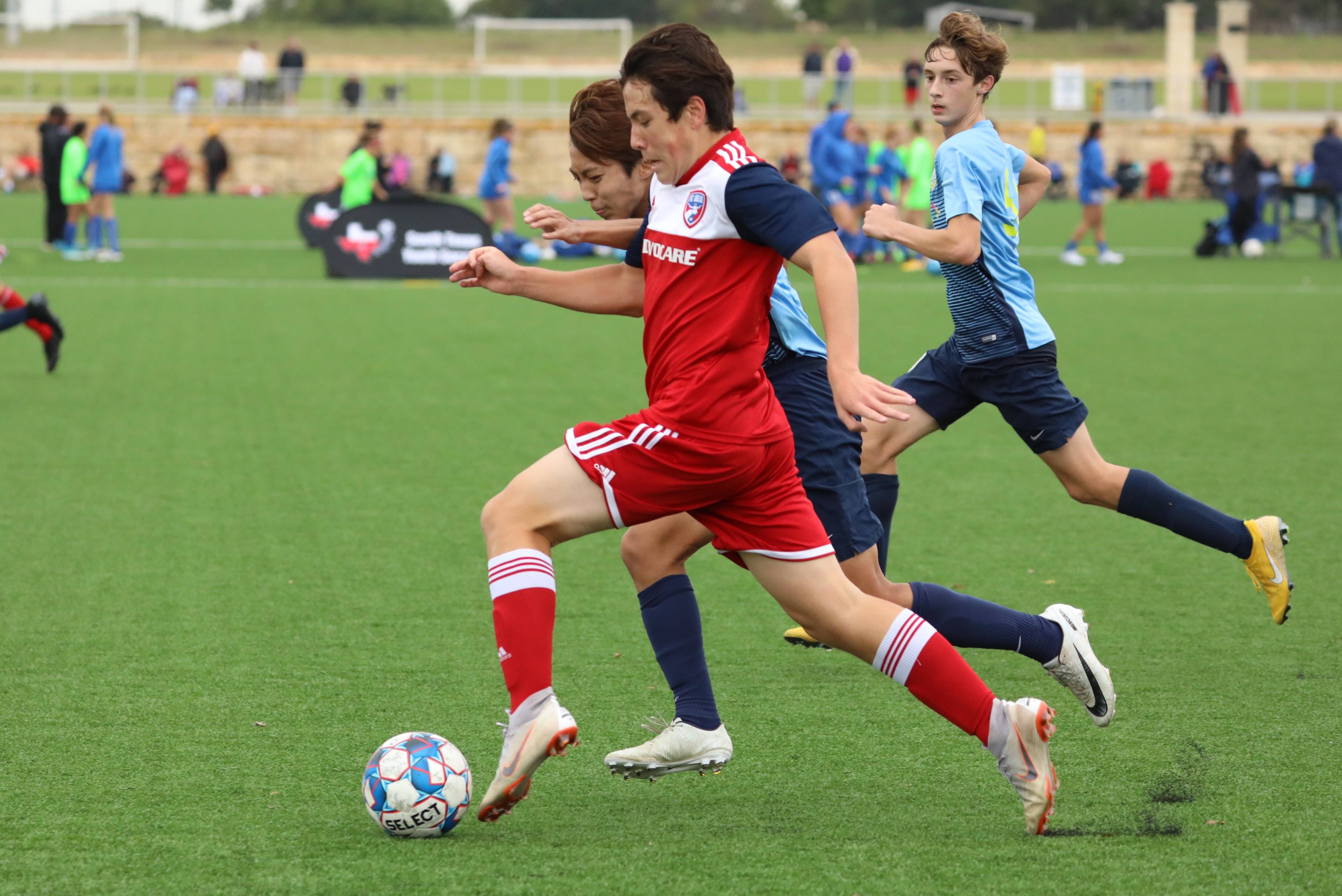 还能在组织 还能在组织